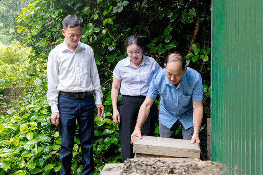 Nuôi ong, trồng măng, thả ốc, nông dân Hồng Thái tăng thu nhập cả trăm triệu đồng