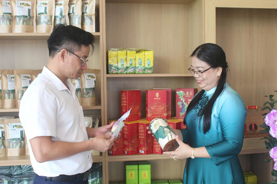 Đẩy mạnh liên kết sản xuất chè gắn với du lịch sinh thái