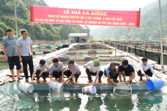 Hoàng Su Phì hỗ trợ mô hình nuôi cá lồng cho các hộ nghèo