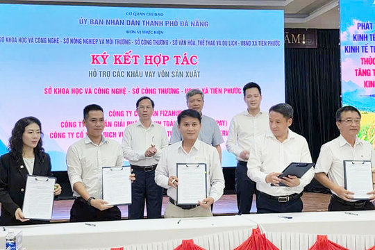 Đà Nẵng hỗ trợ chuyển đổi số cho 124.000 hộ kinh doanh
