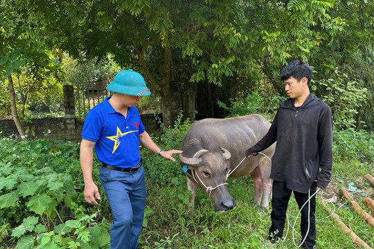 Mỏ Vàng quyết tâm giảm nghèo nhanh, bền vững