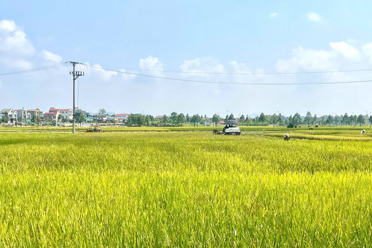Đề xuất miễn thuế đất ở trong hạn mức cho người DTTS