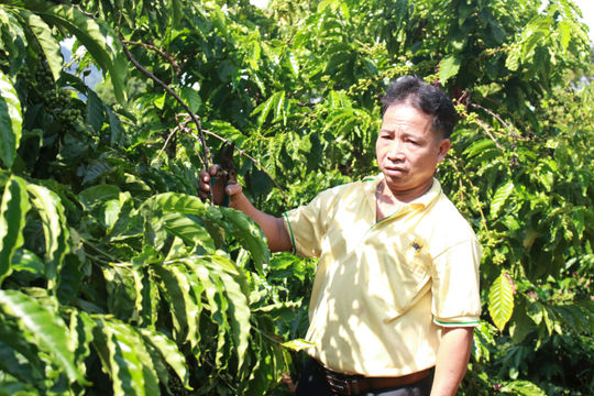 Dấu ấn đổi thay ở vùng đồng bào DTTS Quảng Ngãi
