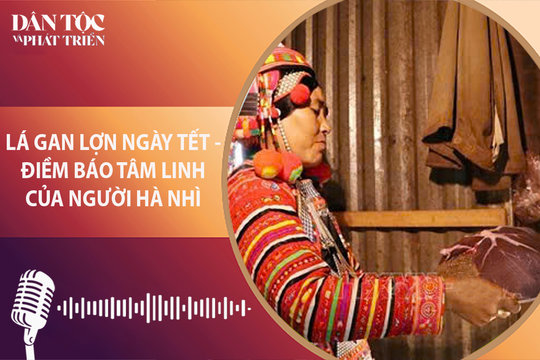 [Podcast] Lá gan lợn ngày tết - Điềm báo tâm linh của người Hà Nhì