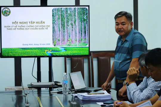 Nâng cao năng lực quản lý rừng bền vững ở vùng cao Hoành Mô