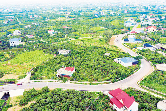 Bắc Ninh phân bổ trên 110 tỷ đồng thực hiện Chương trình MTQG năm 2026