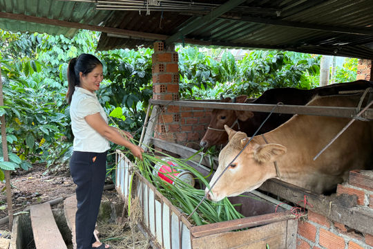 Đắk Lắk dự kiến huy động 17.000 tỷ đồng để đưa 51 xã thoát diện đặc biệt khó khăn