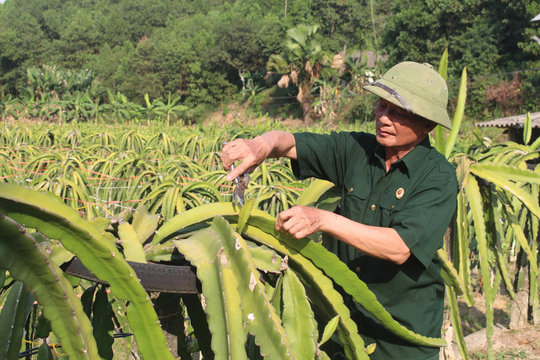 Người có uy tín ở An Khánh: Làm trước để dân tin, nói để dân nghe