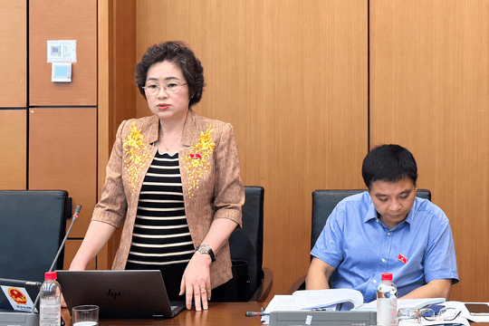 Bảo vệ môi trường vùng DTTS: Cần tăng nguồn lực hậu kiểm
