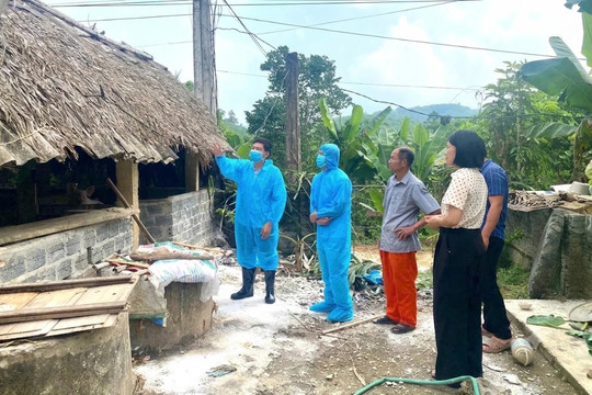 Thanh Hóa siết phòng, chống dịch tả lợn châu Phi ở miền núi