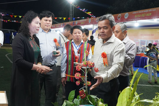 Quảng Ngãi: Đồng bào Xơ Đăng xã Măng Ri đưa sâm Ngọc Linh đến lễ hội