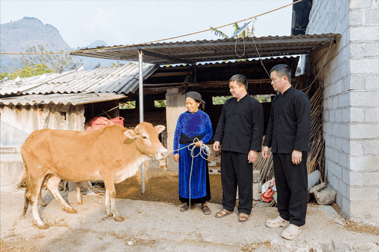 Người dân tự lựa chọn con giống hỗ trợ để có sinh kế phù hợp
