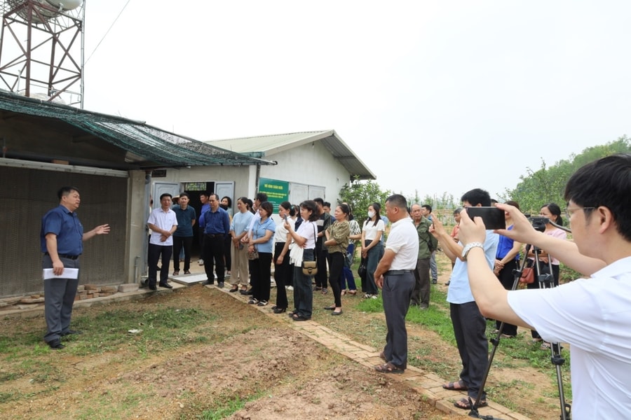 Xây dựng vùng chăn nuôi an toàn dịch bệnh: Chìa khóa nâng cao năng lực cạnh tranh ngành Chăn nuôi Việt Nam