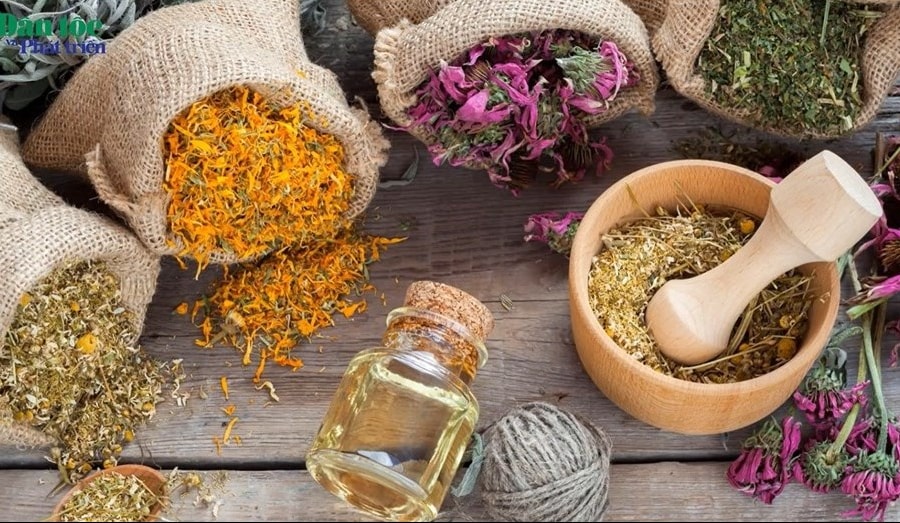 Thuốc Nam chữa cảm nắng trong mùa Hè