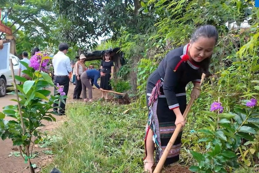 Chống ô nhiễm nhựa không quên trồng cây, giữ rừng
