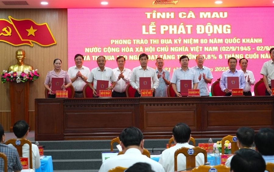 Cà Mau Phấn đấu đạt tăng trưởng ấn tượng sau hợp nhất