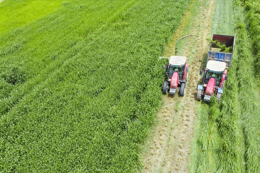 "Mở khóa tự nhiên" biến rào cản thành vòng tuần hoàn xanh tại trang trại sinh thái
