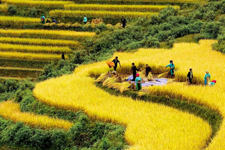 Thực hiện Chương trình MTQG DTTS và miền núi giai đoạn II: Sẽ phân cấp mạnh cho chính quyền địa phương