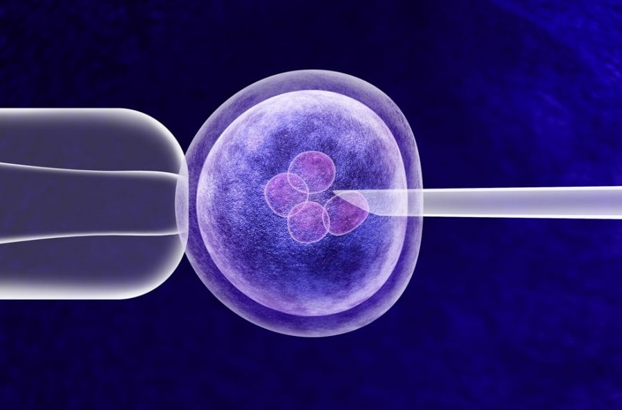 Phụ nữ độc thân có nguyện vọng sinh con sẽ được làm IVF từ 1/10