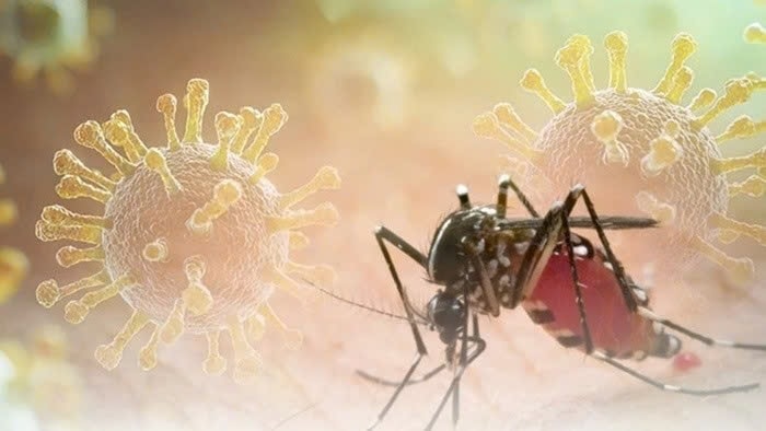 Dịch bệnh Chikungunya đang lây toàn cầu, Bộ Y tế khuyến cáo khẩn các biện pháp phòng, chống