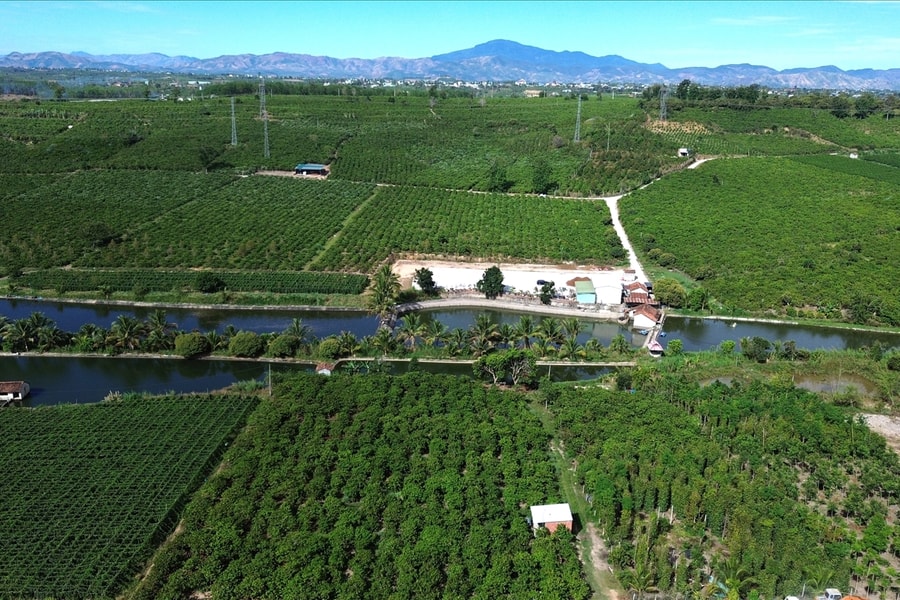 Xây dựng xã Đăk Hà trở thành vùng sản xuất nông nghiệp xanh