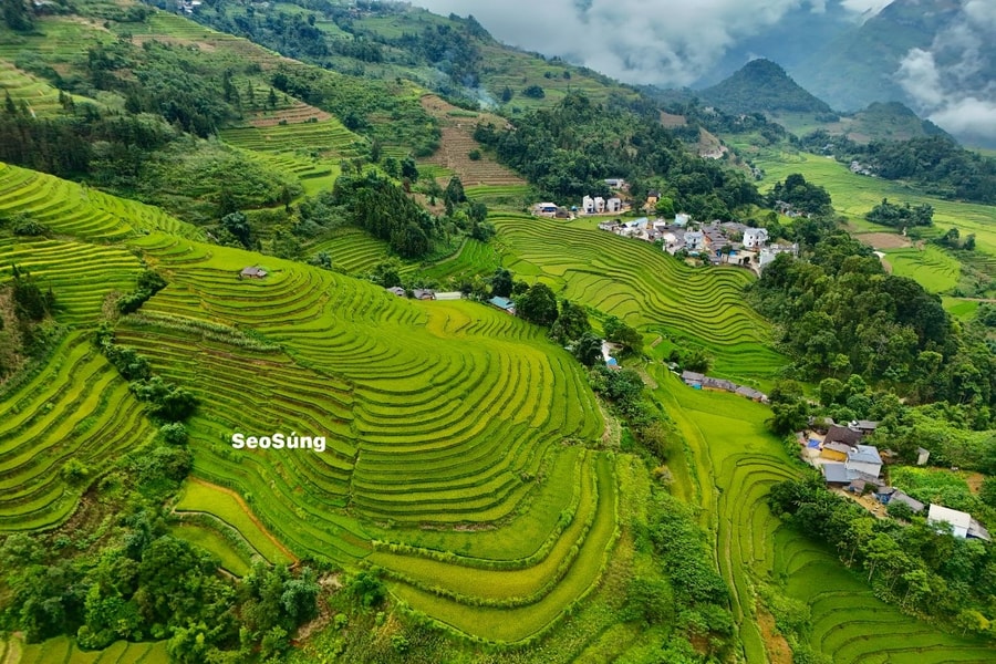Sín Chéng mùa vàng