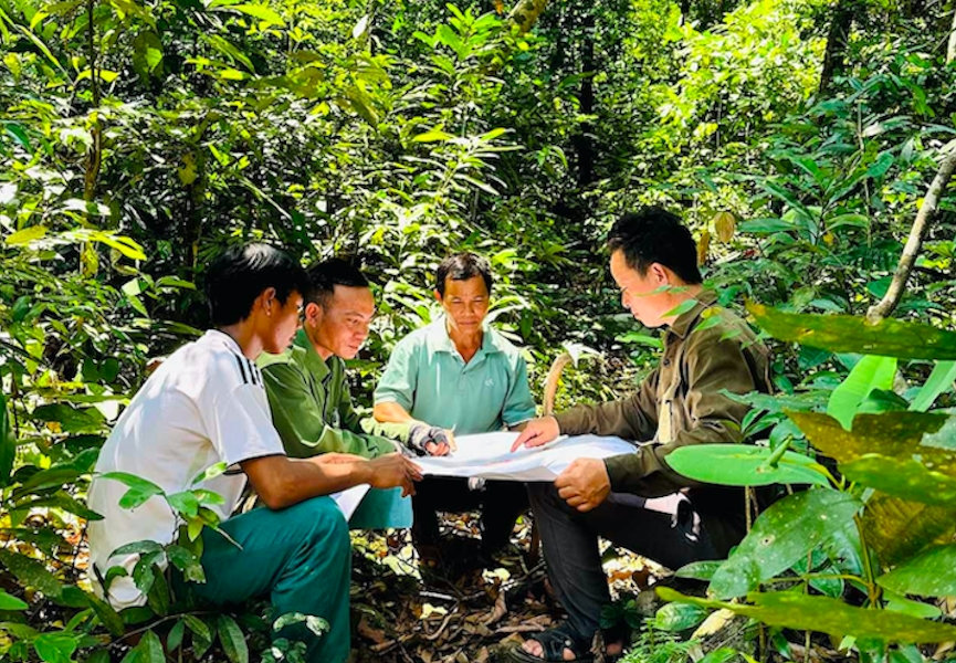 Người dân Canh Liên có thu nhập ổn định nhờ nhận giao khoán rừng