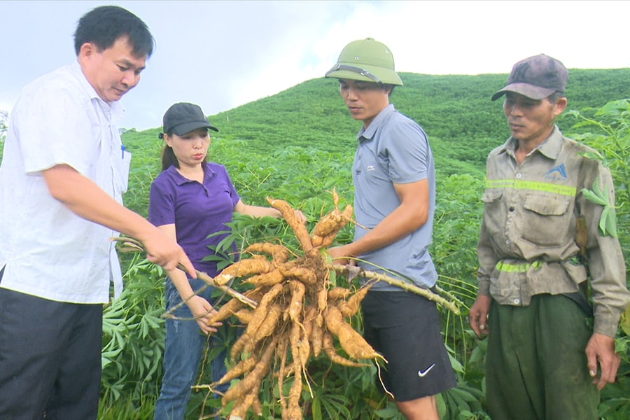 Tạo sinh kế bền vững cho người dân miền núi xứ Thanh