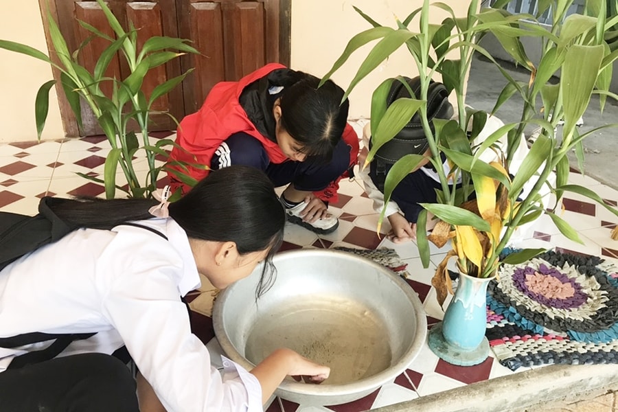 Khánh Hòa đã có 2 trường hợp tử vong do sốt xuất huyết