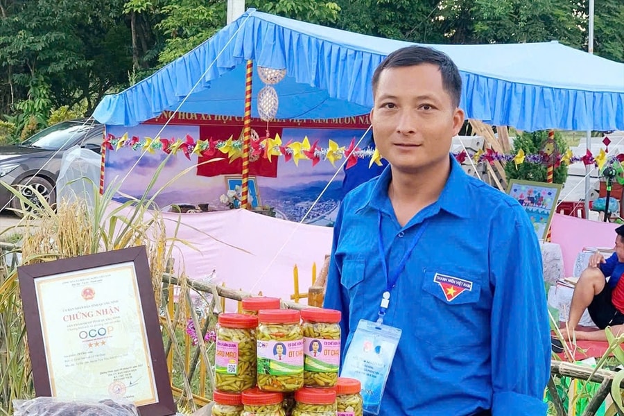 Đưa cây mọc hoang dại thành sản phẩm OCOP
