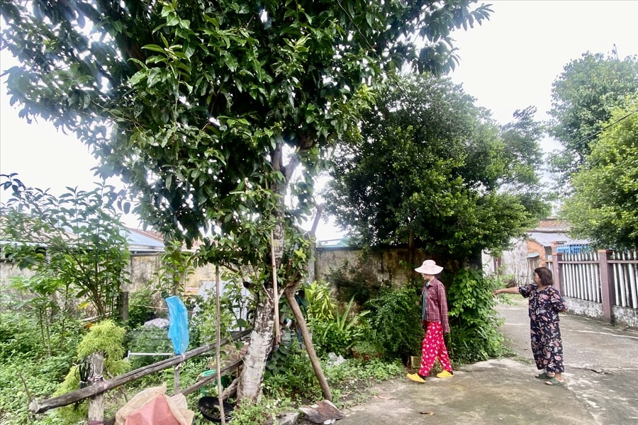 Lò mổ nằm giữa khu dân cư gây ô nhiễm, dân bức xúc yêu cầu di dời