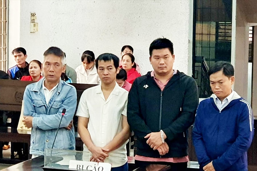 Đắk Lắk: Xét xử nhóm đối tượng sử dụng chất độc hại sản xuất giá đỗ