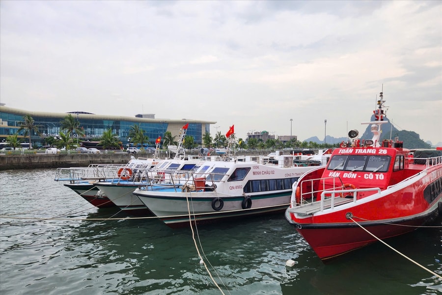 Tạm ngừng cấp phép tàu trên vùng biển Quảng Ninh từ 18 giờ ngày 27/9