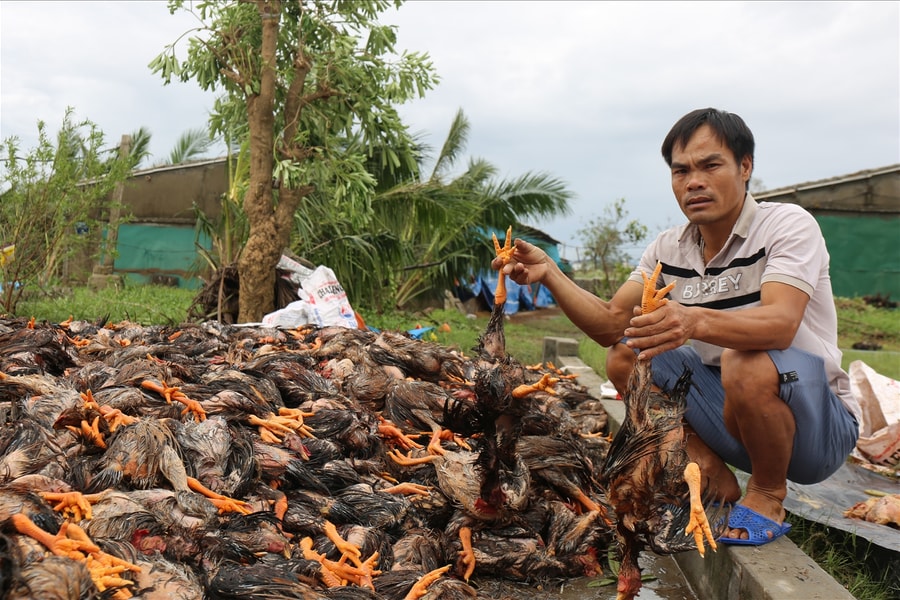 Nguy cơ bùng phát dịch bệnh sau bão số 10