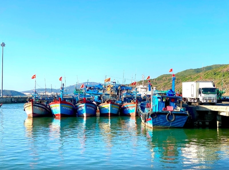 Gia Lai chi hơn 4,4 tỷ đồng hỗ trợ chủ tàu cá không đủ điều kiện khai thác thủy sản