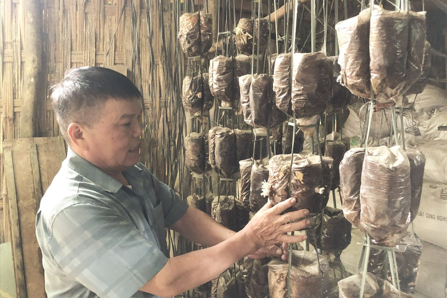 Thêm nhiệm vụ, trách nhiệm càng cao
