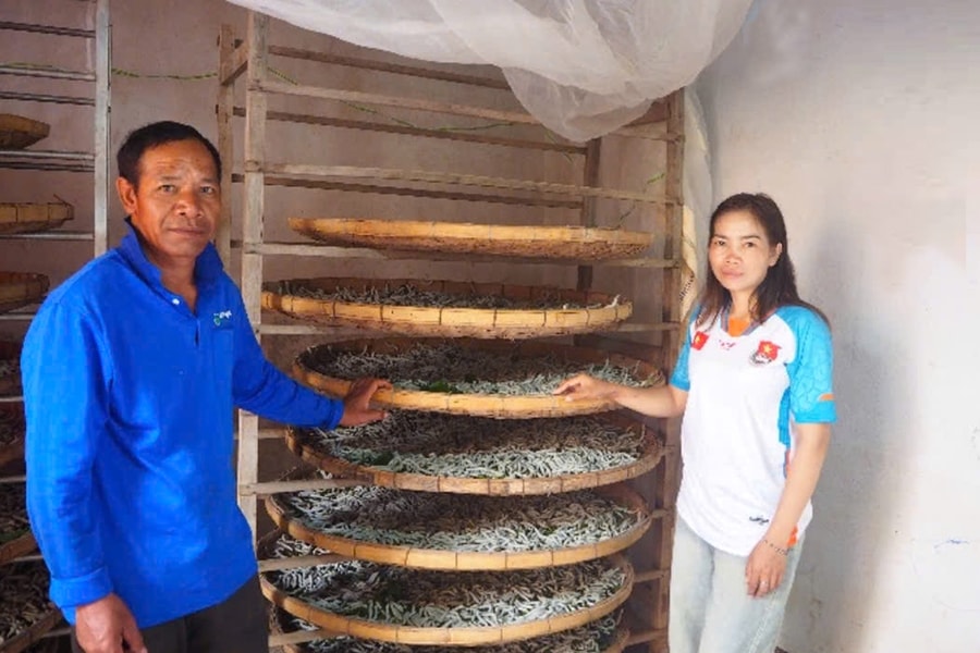 Nữ đảng viên Cơ Ho gieo chữ, chuyển đổi số ở buôn làng Tây Nguyên
