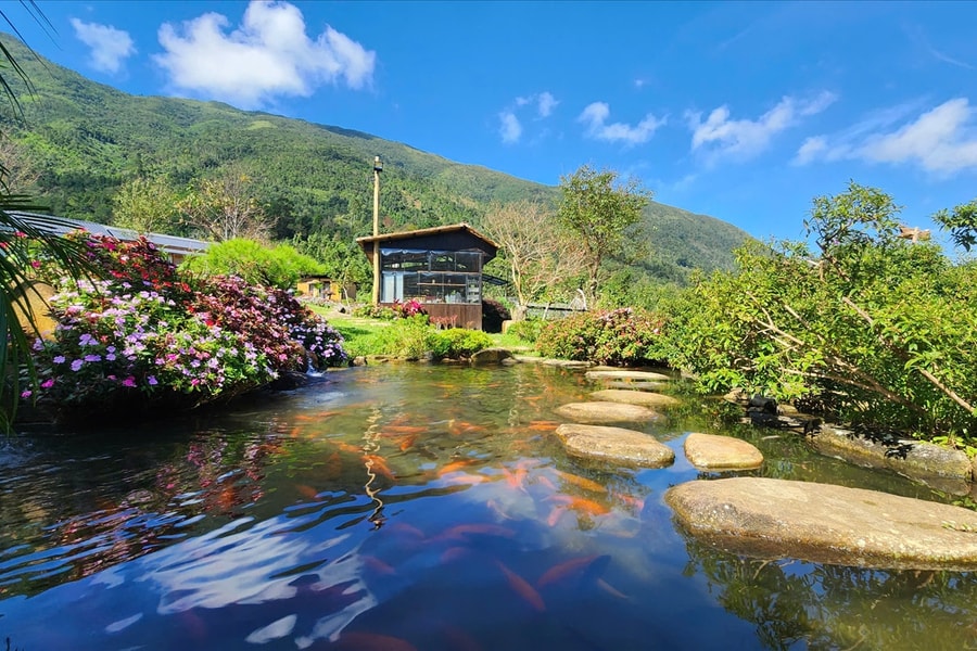 Thức giấc giữa biển mây và sắc màu vùng biên