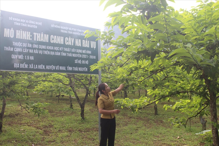 Khoa học kỹ thuật là “chìa khóa” giúp bà con vùng cao Thái Nguyên từng bước giảm nghèo