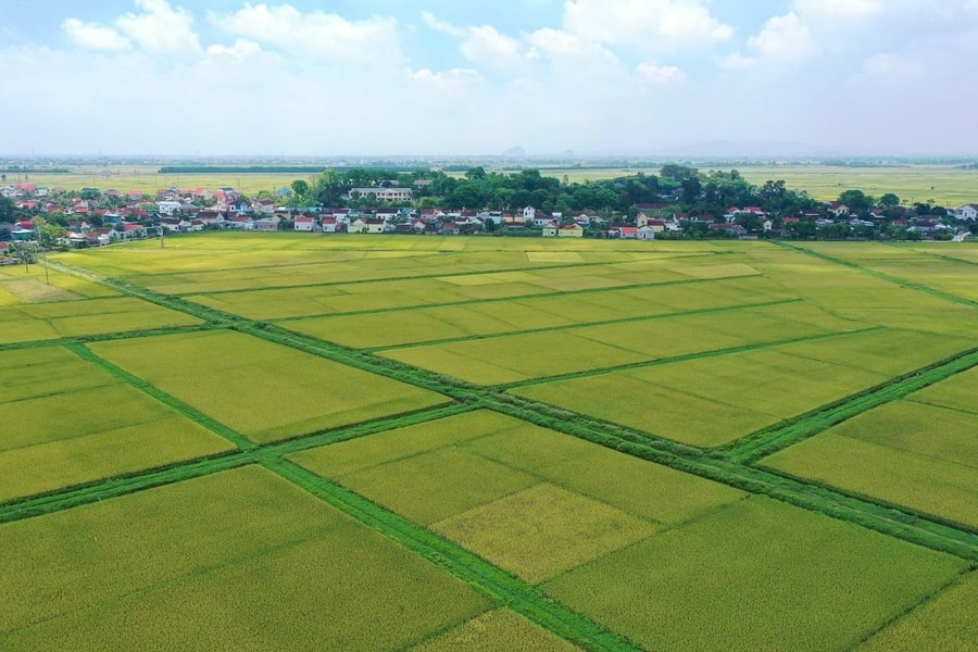 Các trường hợp được miễn thuế sử dụng đất nông nghiệp đến hết ngày 31/12/2030