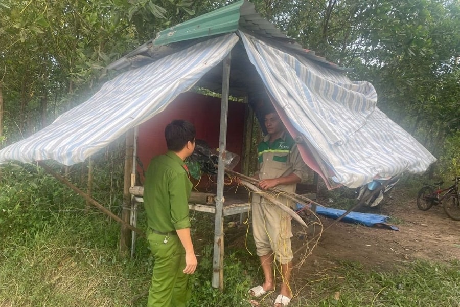 Thanh Hóa ra quân ngăn chặn tình trạng săn bắt chim trời