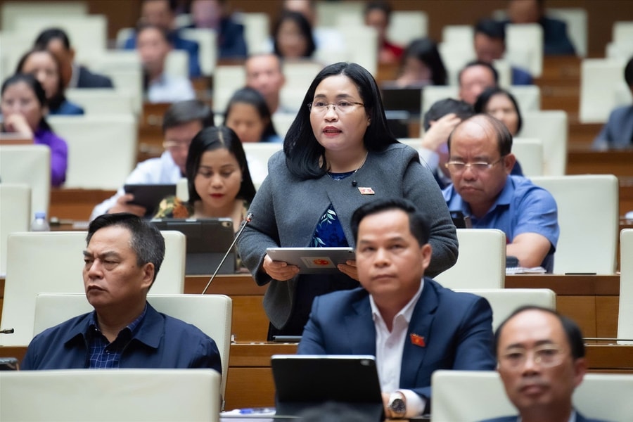 Luật Giáo dục nghề nghiệp cần có ưu đãi đặc biệt cho người học nghề truyền thống, người học ở vùng sâu, vùng xa