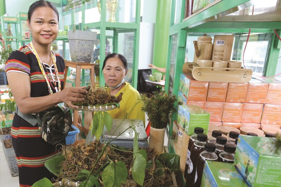 Gặp những người nông dân vượt khó làm giàu