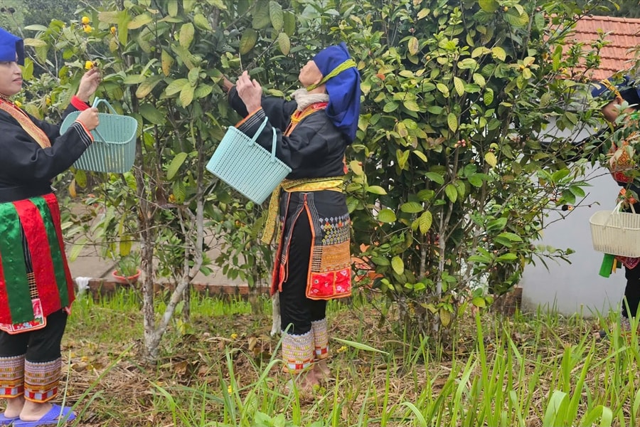 Quảng Ninh không còn hộ nghèo theo chuẩn nghèo tiếp cận đa chiều