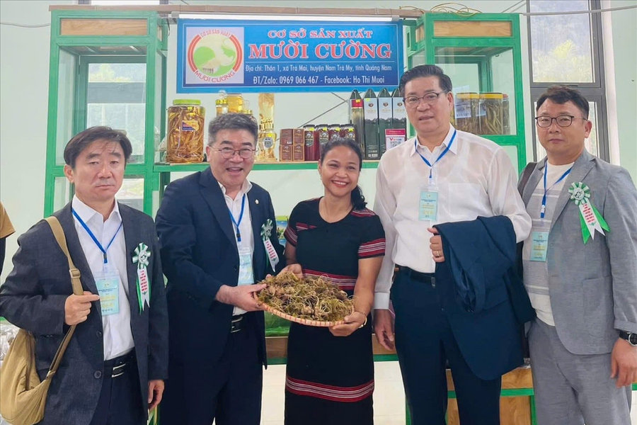 HTX của cô gái Ca Dong với kho dược liệu vùng cao