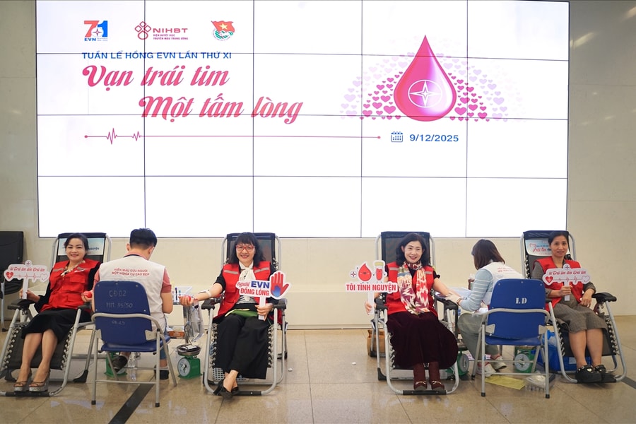 Tập đoàn Điện lực Việt Nam: Tổ chức chương trình hiến máu tình nguyện