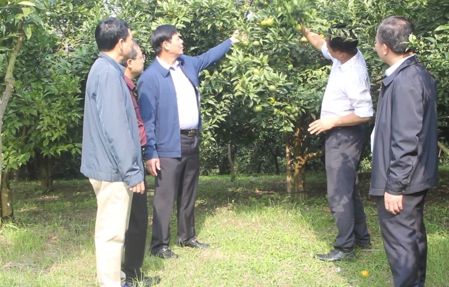 Thực hiện chính sách với Người có uy tín ở Cao Bằng: Khích lệ kịp thời đi liền chất lượng triển khai (Bài cuối)