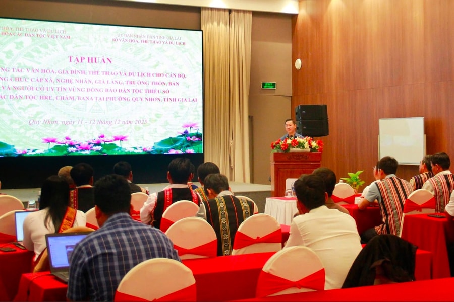 Tập huấn công tác văn hóa, gia đình, thể thao và du lịch tại Gia Lai