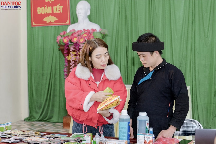 Việt Lâm (Tuyên Quang): Tăng cường đào tạo kỹ thuật chăn nuôi gắn với chế biến sản phẩm