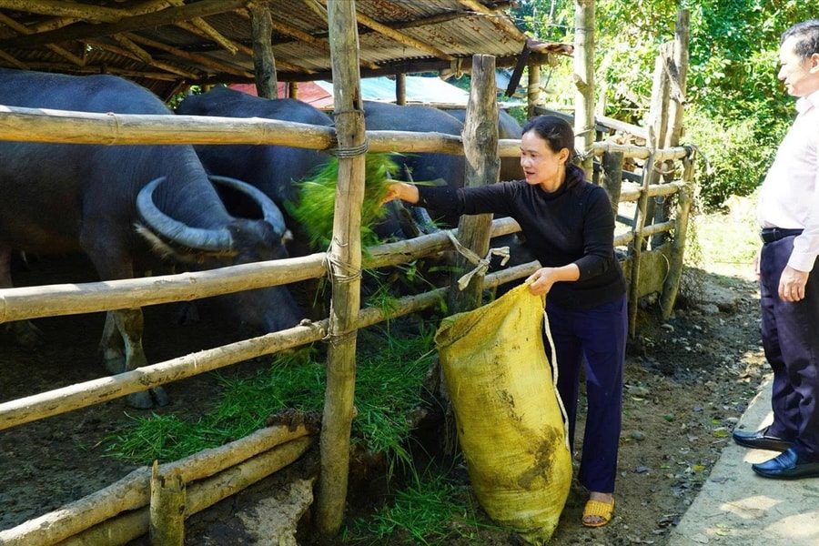 Quảng Ngãi triển khai hiệu quả Chỉ thị 39 trong giai đoạn mới